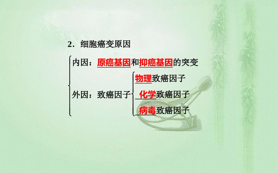 高中生物学业水平复习 专题五 细胞的分化、衰老和凋亡 考点4 癌细胞的主要特征及防治优质课件_第3页