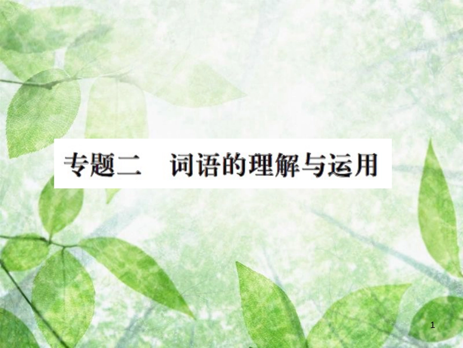 九年级语文上册 期末专题复习二 词语的理解与运用习题优质课件 新人教版_第1页