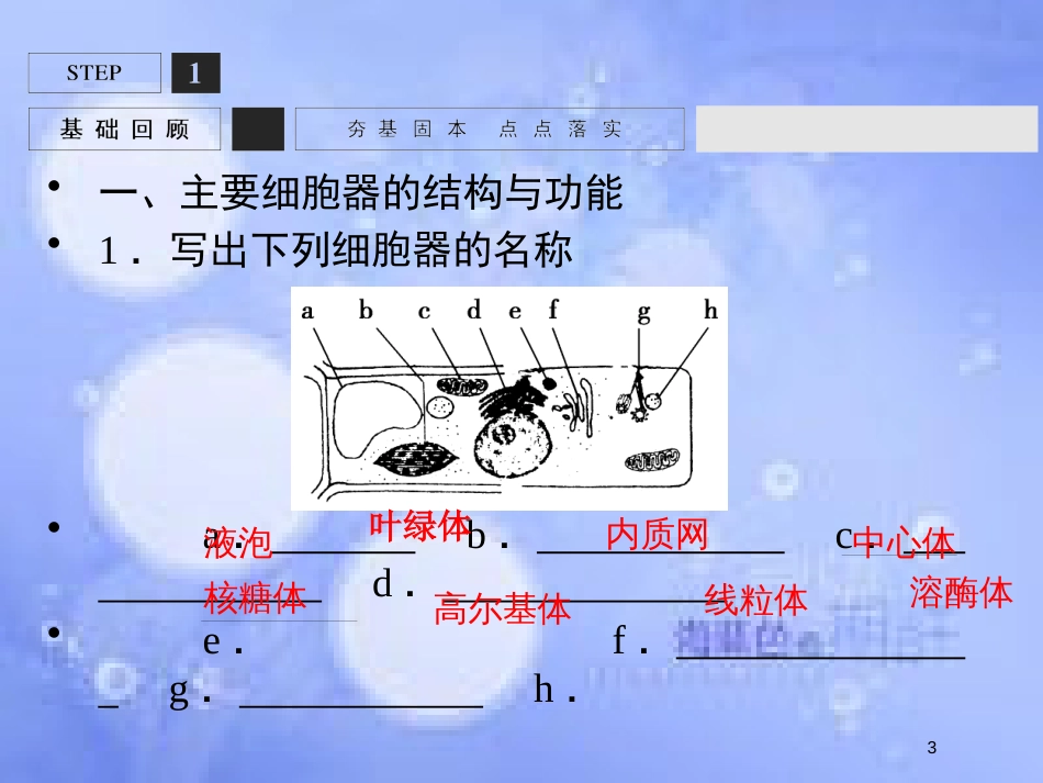 高考生物一轮复习 第2单元 细胞的基本结构与物质运输6课件 苏教版必修1_第3页