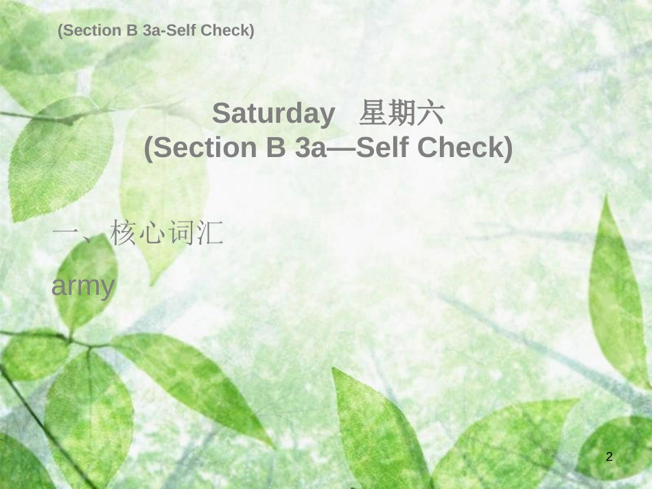八年级英语上册 Unit 5 Do you want to watch a game show Saturday（复现式周周练）习题优质课件 （新版）人教新目标版_第2页