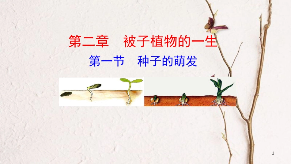 七年级生物上册 第三单元 第二章 第一节《种子的萌发》课件 （新版）新人教版[共24页]_第1页