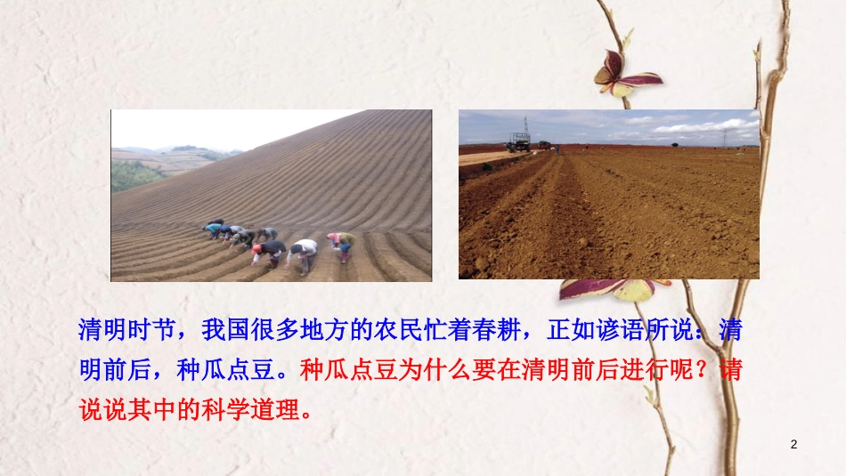 七年级生物上册 第三单元 第二章 第一节《种子的萌发》课件 （新版）新人教版[共24页]_第2页