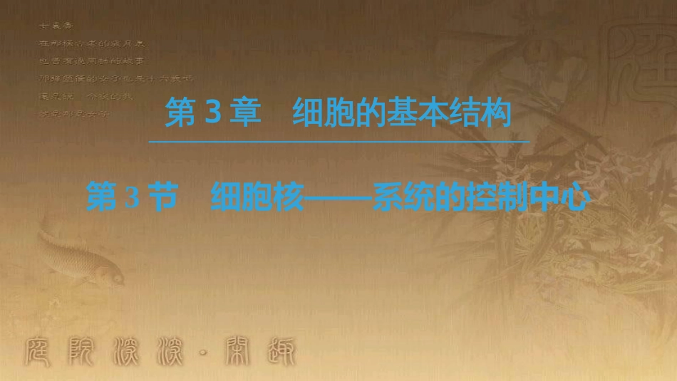 高中生物 第三章 细胞的基本结构 第3节 细胞核——系统的控制中心优质课件 新人教版必修1_第1页