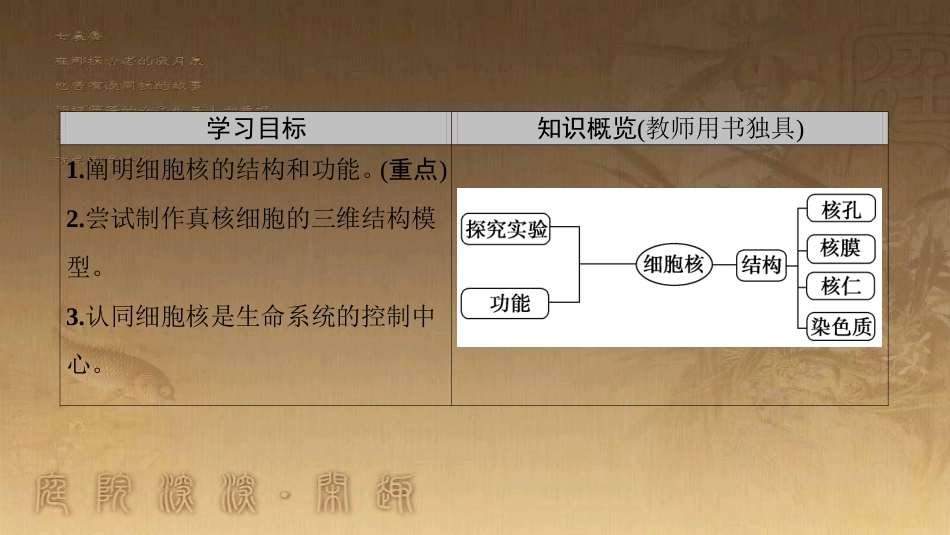 高中生物 第三章 细胞的基本结构 第3节 细胞核——系统的控制中心优质课件 新人教版必修1_第2页