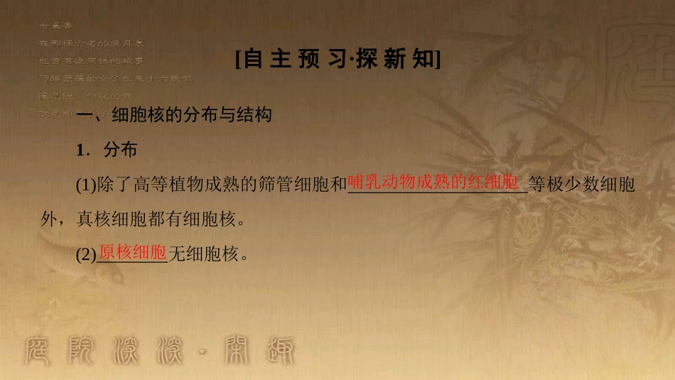 高中生物 第三章 细胞的基本结构 第3节 细胞核——系统的控制中心优质课件 新人教版必修1_第3页