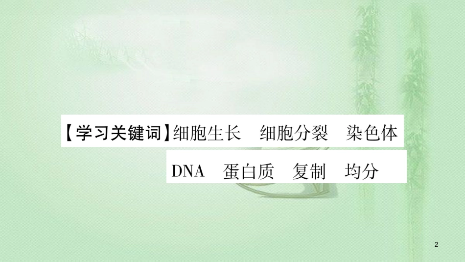 七年级生物上册 第2单元 第2章 第1节 细胞通过分裂产生新细胞习题优质课件 （新版）新人教版_第2页