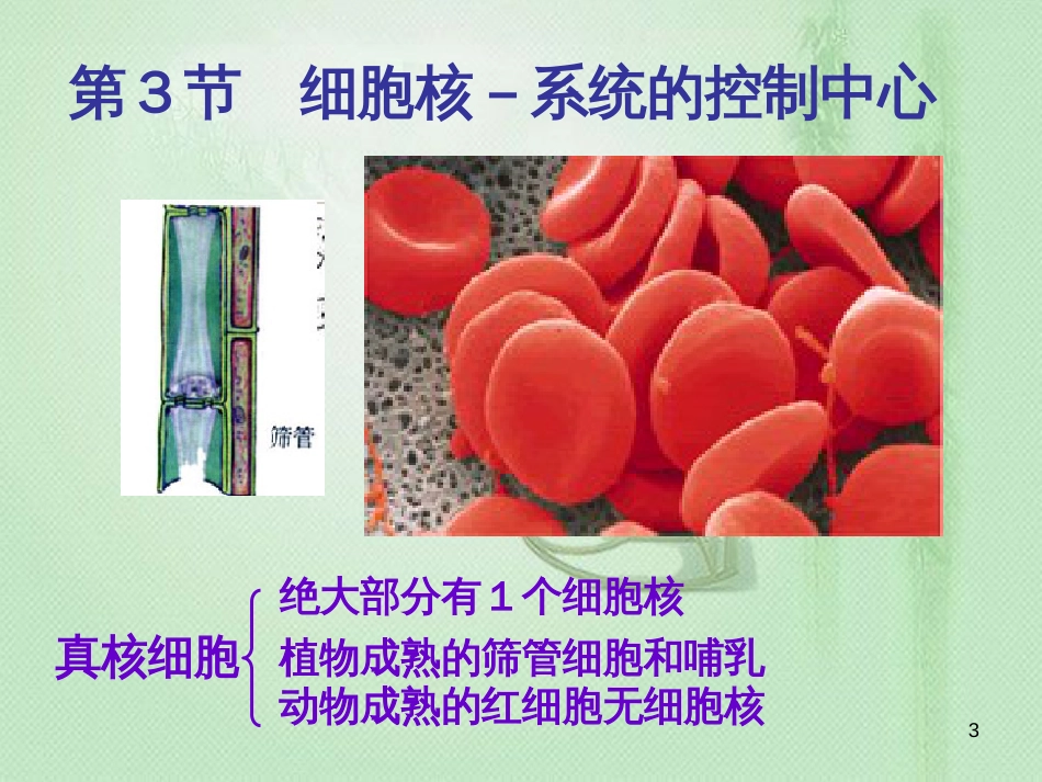 高中生物 专题3.3 细胞核——系统的控制中心同步优质课件 新人教版必修1_第3页