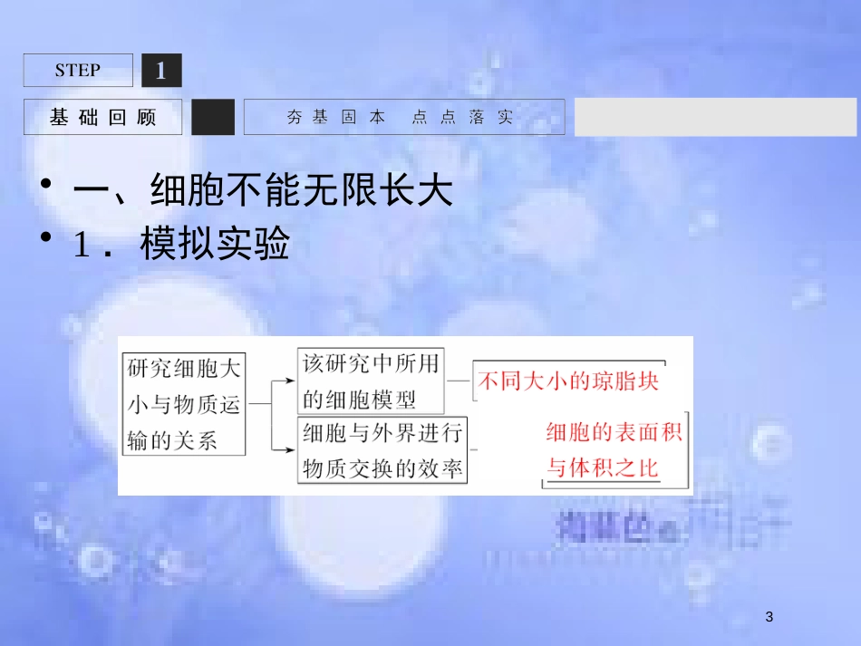 高考生物一轮复习 第4单元 细胞的生命历程11课件 苏教版必修1_第3页