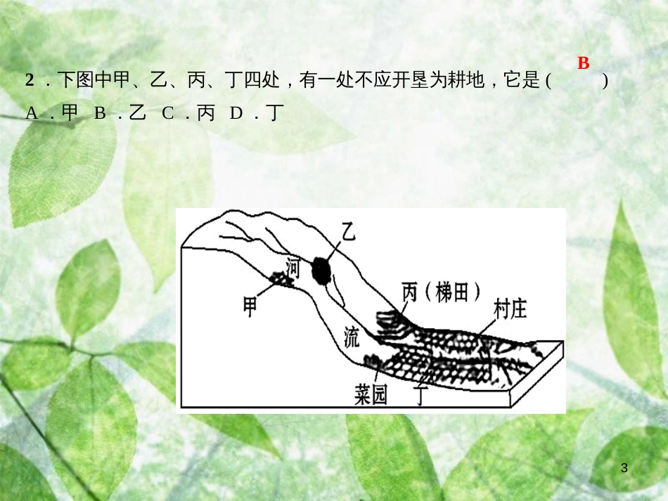 八年级地理上册 滚动专题训练（二）自然资源与经济发展习题优质课件 （新版）新人教版_第3页