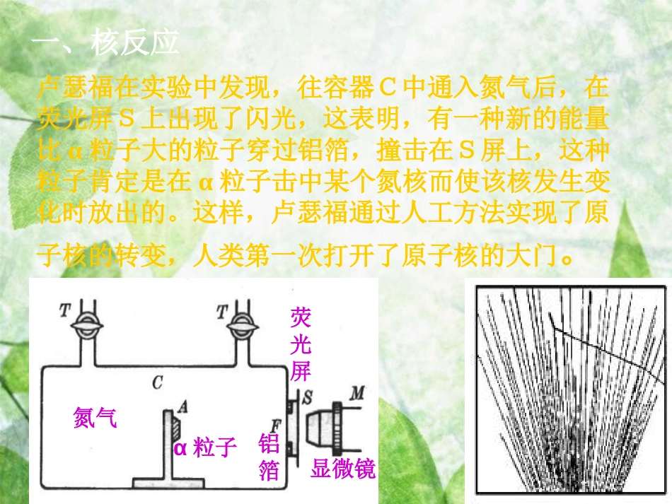 高中物理 第十九章 原子核 19.4 放射性的应用与防护优质课件 新人教版选修3-5_第2页