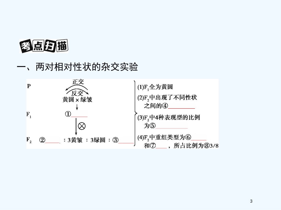 （北京专用）2019版高考生物一轮复习 第15讲 基因的自由组合定律优质课件_第3页