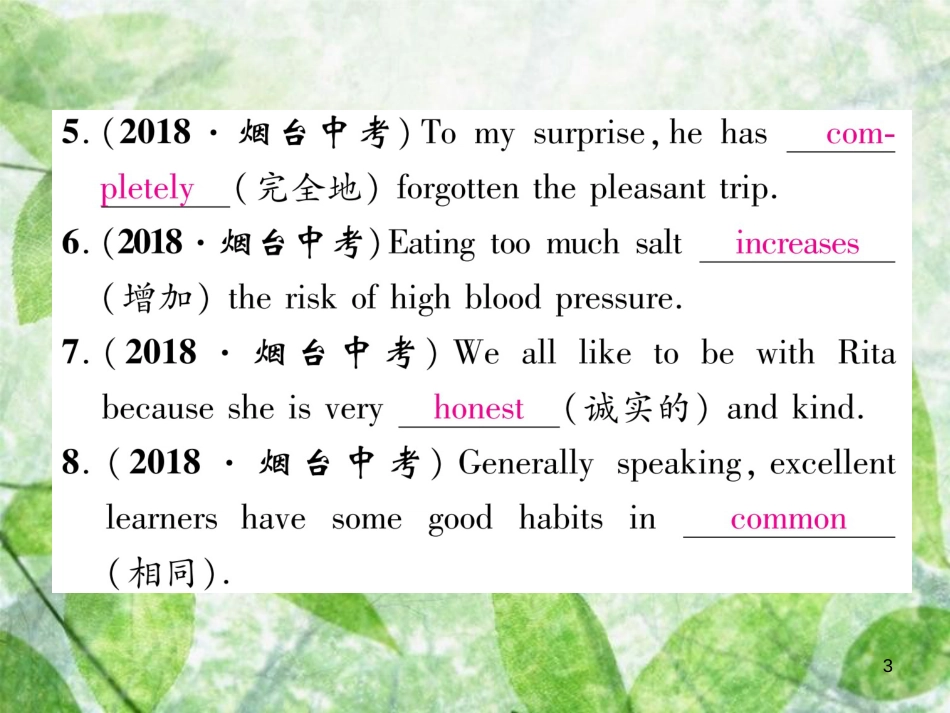九年级英语全册 专题训练 专题2 词汇优质课件 （新版）人教新目标版_第3页