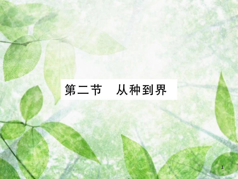 八年级生物上册 第六单元 第一章 第二节 从种到界习题优质课件 （新版）新人教版_第1页