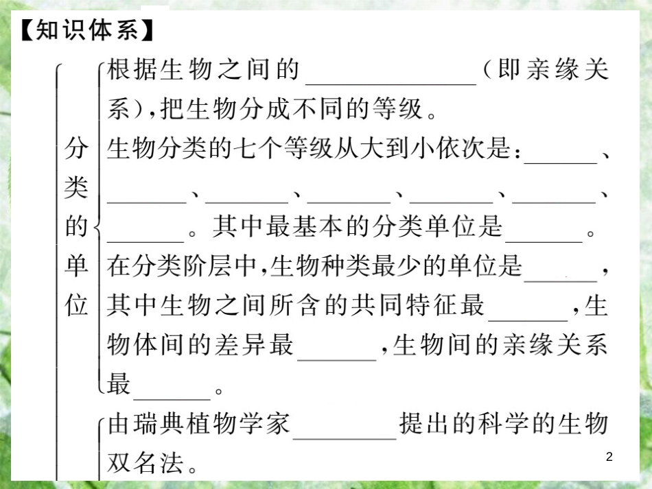 八年级生物上册 第六单元 第一章 第二节 从种到界习题优质课件 （新版）新人教版_第2页