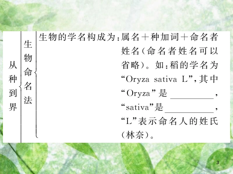 八年级生物上册 第六单元 第一章 第二节 从种到界习题优质课件 （新版）新人教版_第3页