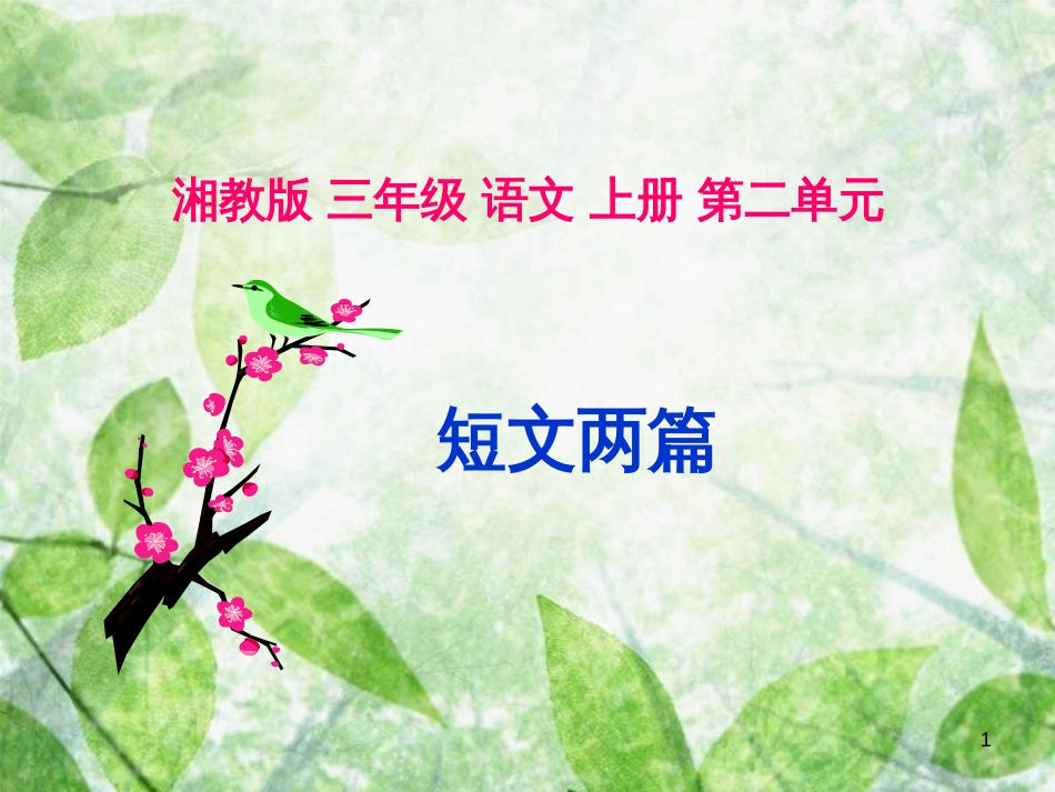 三年级语文上册 第二单元 水仙花课件2 湘教版_第1页