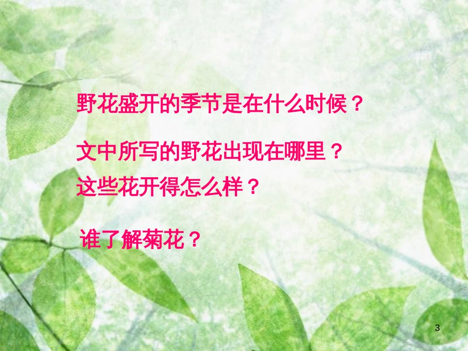 三年级语文上册 第二单元 水仙花课件2 湘教版_第3页