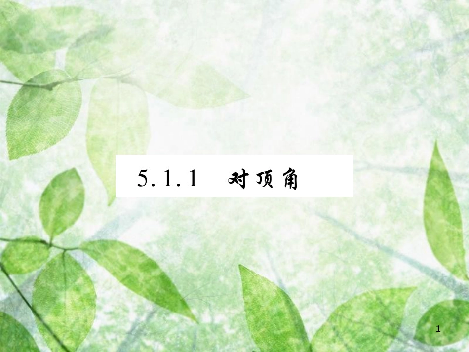 七年级数学上册 第5章 相交线与平行线 5.1 相交线 5.1.1 对顶角练习优质课件 （新版）华东师大版_第1页