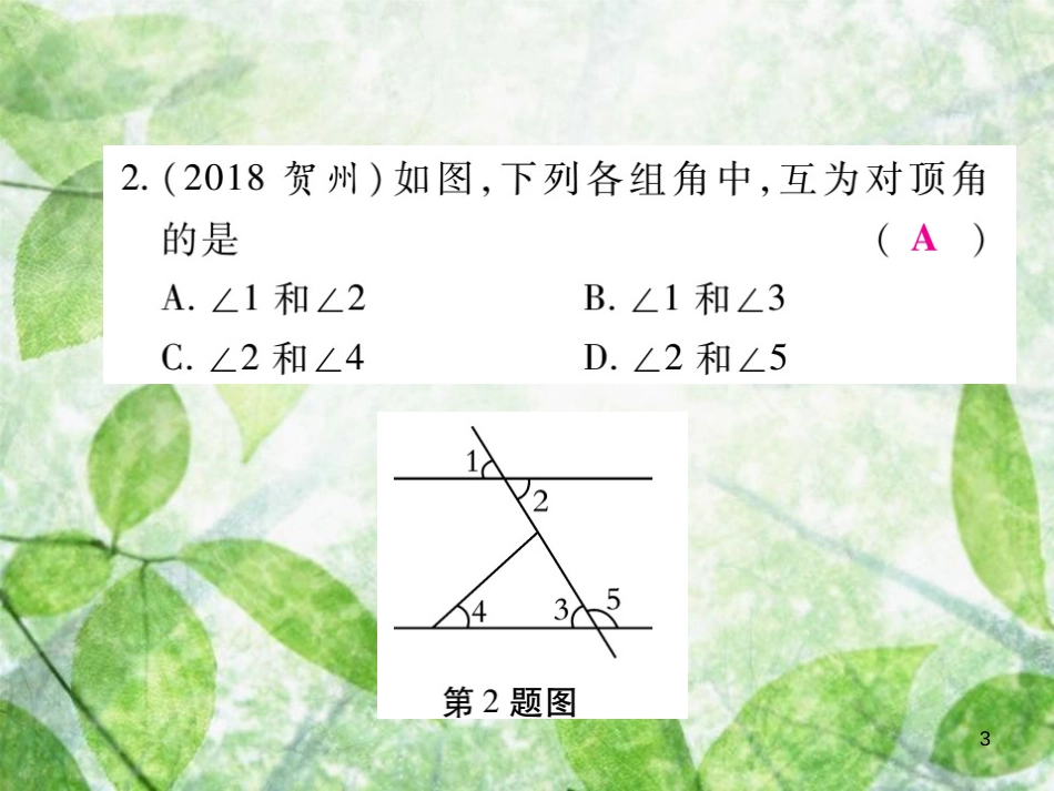 七年级数学上册 第5章 相交线与平行线 5.1 相交线 5.1.1 对顶角练习优质课件 （新版）华东师大版_第3页