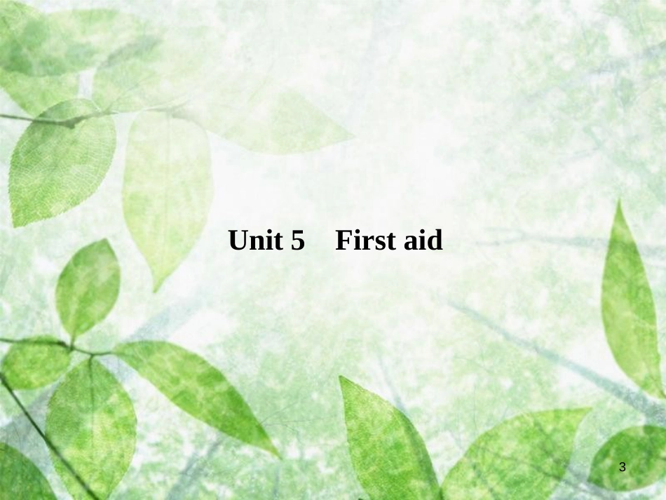 高三英语总复习 第一部分 回归教材 Unit 5 First aid优质课件 新人教版必修5_第3页