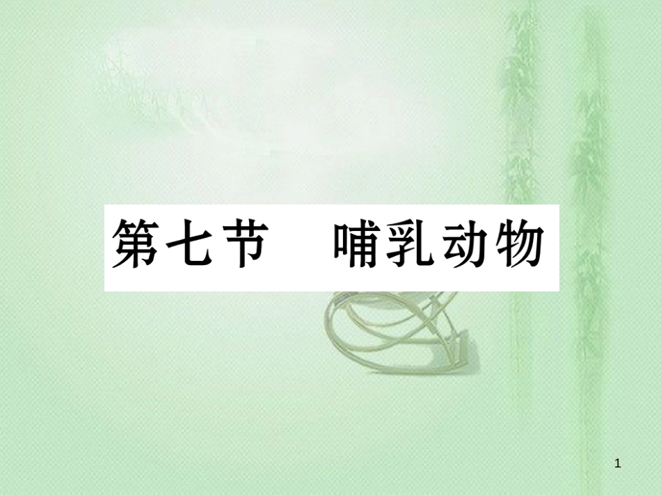八年级生物上册 第五单元 第1章 第七节 哺乳动物优质课件 （新版）新人教版_第1页