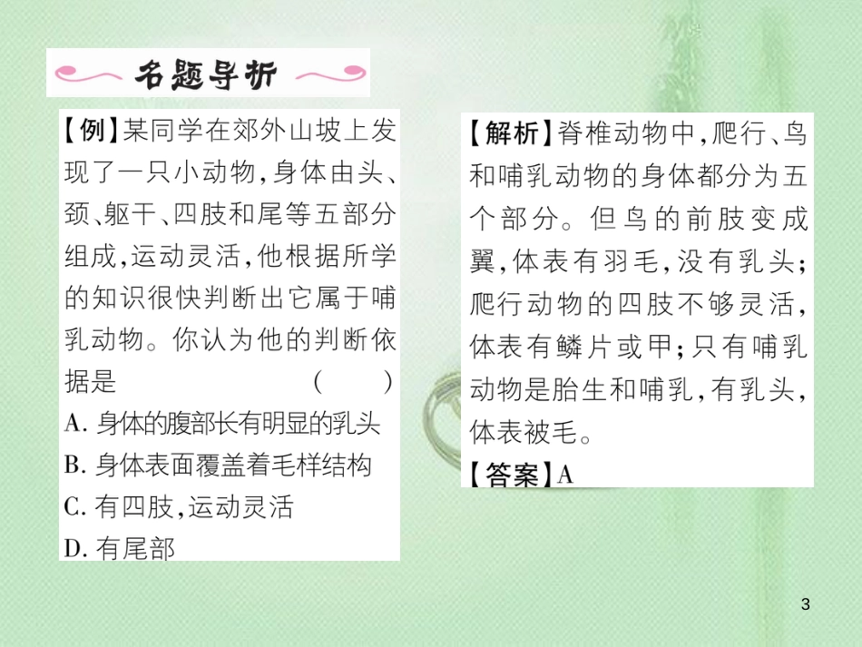 八年级生物上册 第五单元 第1章 第七节 哺乳动物优质课件 （新版）新人教版_第3页