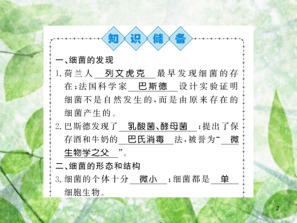 八年级生物上册 第五单元 第4章 第2节 细菌习题优质课件 （新版）新人教版_第2页