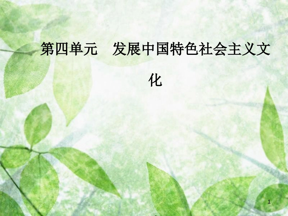 高中政治 第四单元 发展中国特色社会主义文化 第八课 第一框 色彩斑斓的文化生活优质课件 新人教版必修3_第1页