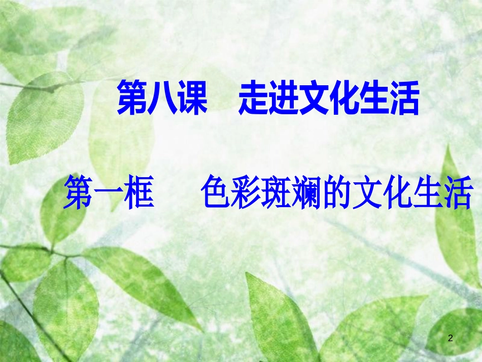 高中政治 第四单元 发展中国特色社会主义文化 第八课 第一框 色彩斑斓的文化生活优质课件 新人教版必修3_第2页
