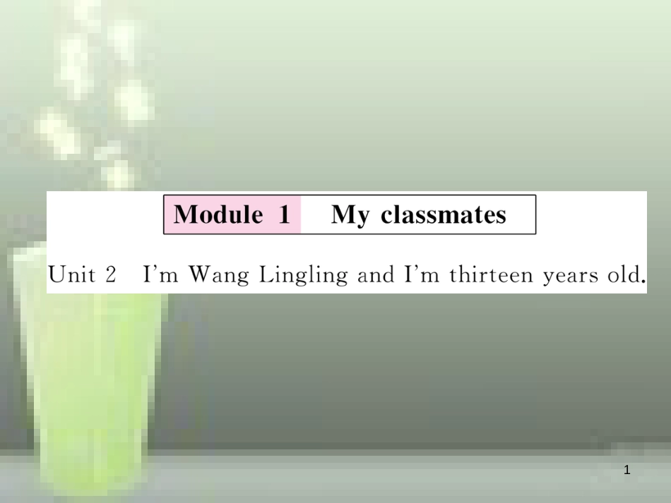 （浙江专用）七年级英语上册 Module 1 My classmates Unit 2 I’m Wang Lingling and I’m thirteen years old习题优质课件 （新版）外研版_第1页