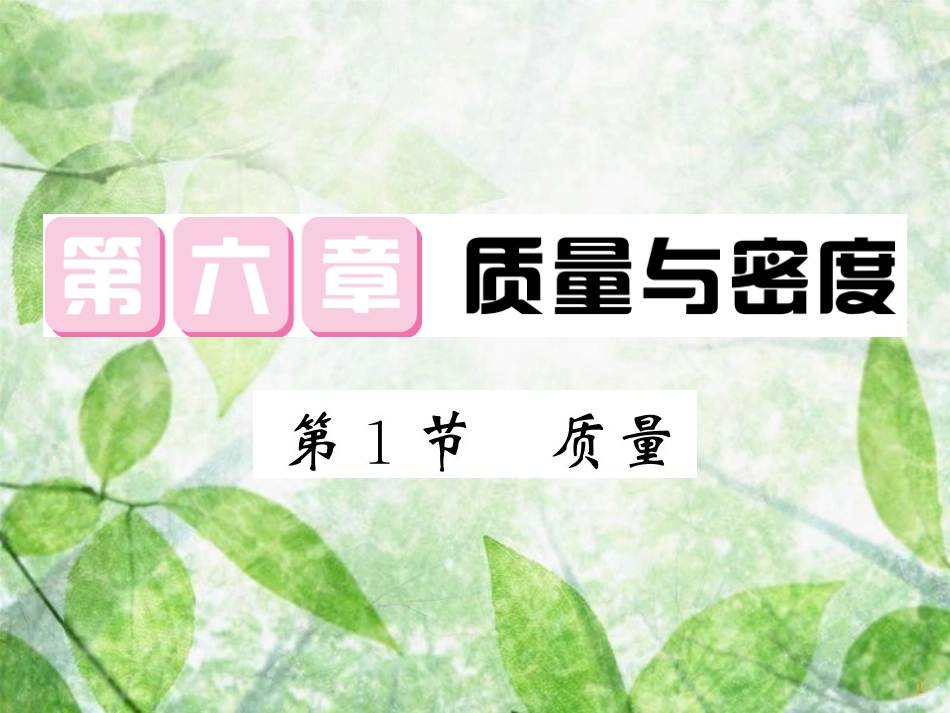 八年级物理上册 第6章 1 质量习题优质课件 （新版）教科版_第1页