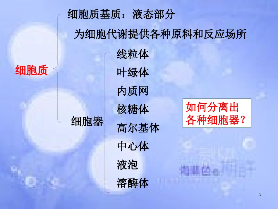 高中生物 第三章 细胞的基本结构 3.2 细胞器-系统内的分工合作课件2 新人教版必修1_第3页