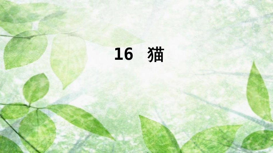 七年级语文上册 第五单元 16 猫优质课件 新人教版_第1页