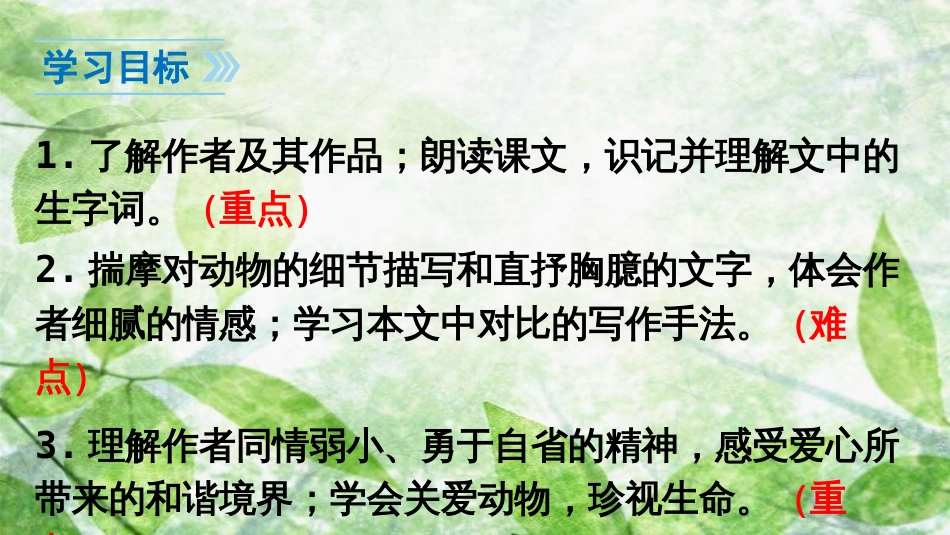 七年级语文上册 第五单元 16 猫优质课件 新人教版_第2页