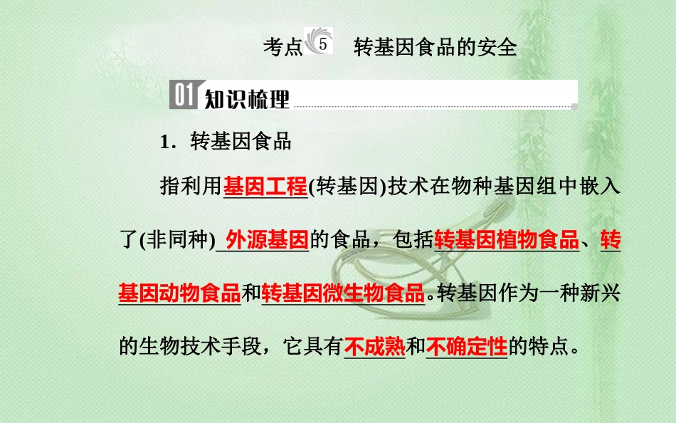 高中生物学业水平复习 专题九 生物的变异 考点5 转基因食品的安全优质课件_第1页