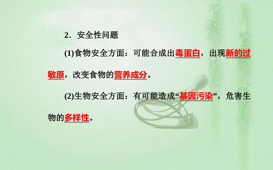 高中生物学业水平复习 专题九 生物的变异 考点5 转基因食品的安全优质课件_第2页