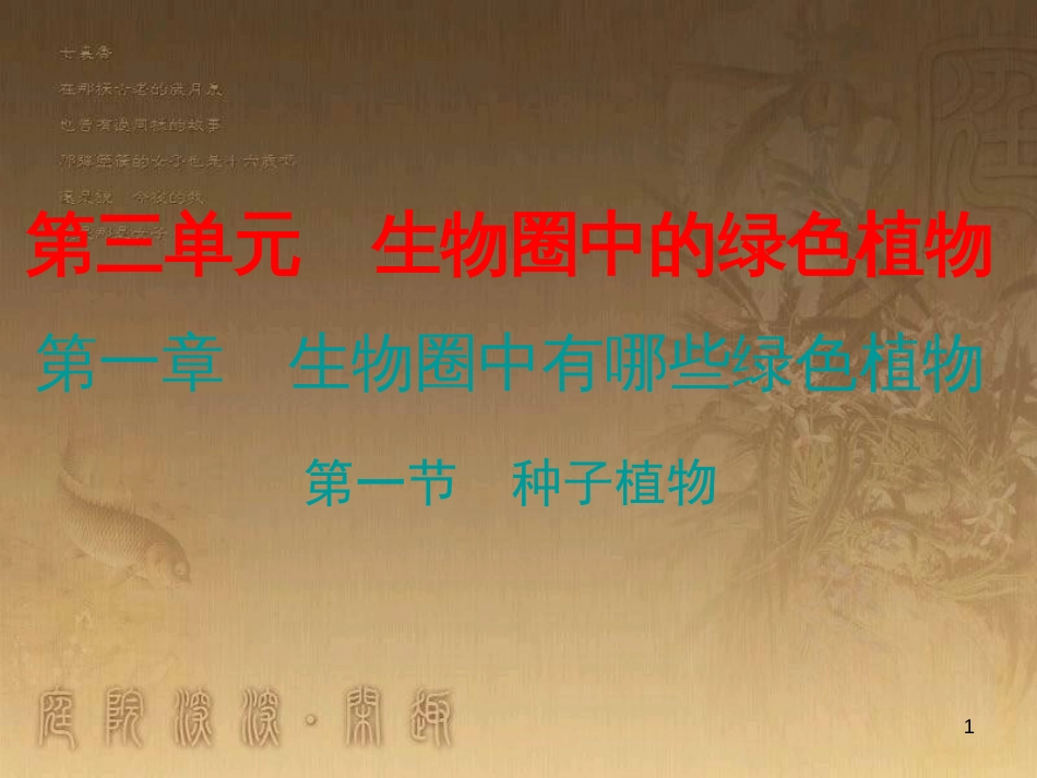 七年级生物上册 第三单元 第一章 第二节 种子植物优质课件 （新版）新人教版_第1页