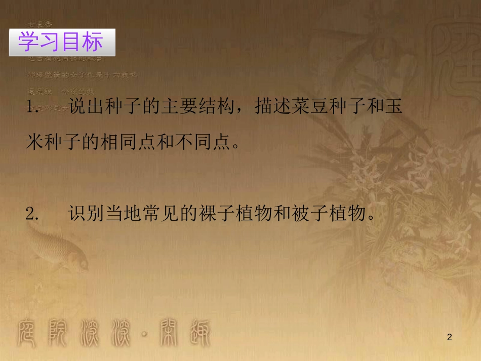 七年级生物上册 第三单元 第一章 第二节 种子植物优质课件 （新版）新人教版_第2页