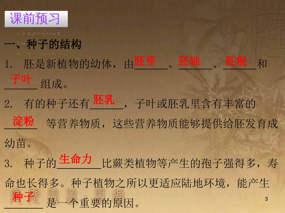 七年级生物上册 第三单元 第一章 第二节 种子植物优质课件 （新版）新人教版_第3页