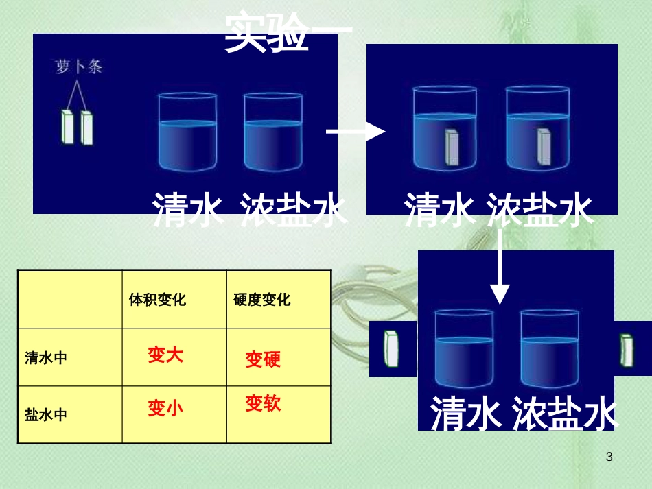 八年级生物上册 第2章 第2节 根对水分的吸收优质课件3 （新版）冀教版_第3页