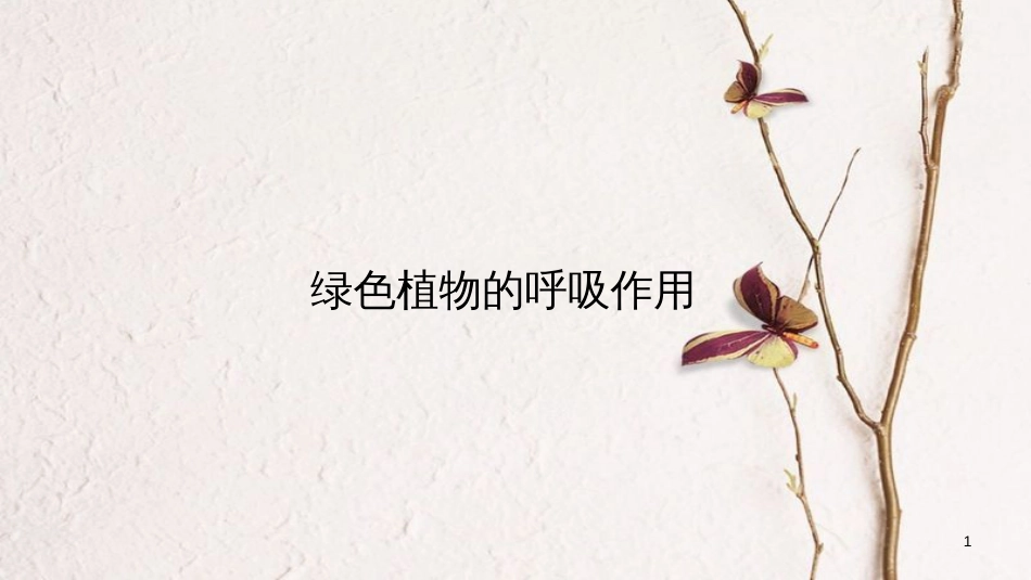 七年级生物上册 第三单元 第五章 第二节《绿色植物的呼吸作用》课件 （新版）新人教版[共19页]_第1页