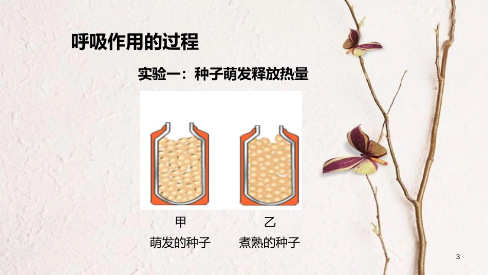 七年级生物上册 第三单元 第五章 第二节《绿色植物的呼吸作用》课件 （新版）新人教版[共19页]_第3页