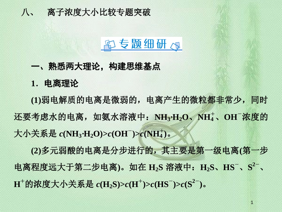 高考化学一轮复习 微专题八 离子浓度大小比较专题突破优质课件 新人教版_第1页