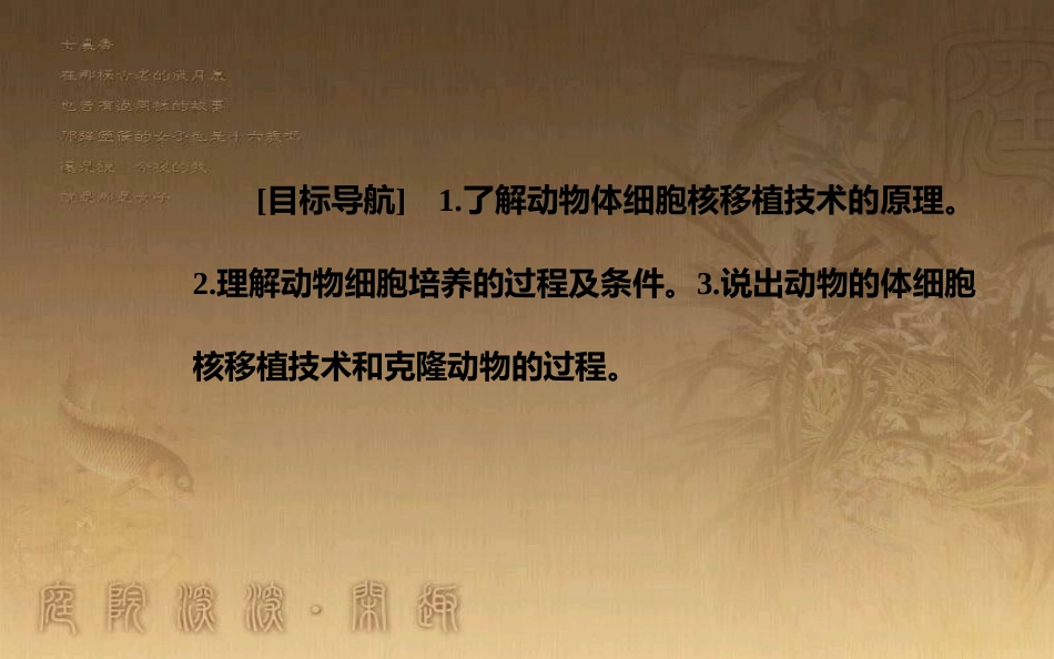 高中生物 专题2 细胞工程 2.2 动物细胞工程 2.2.1 动物细胞培养和核移植技术优质课件 新人教版选修3_第3页