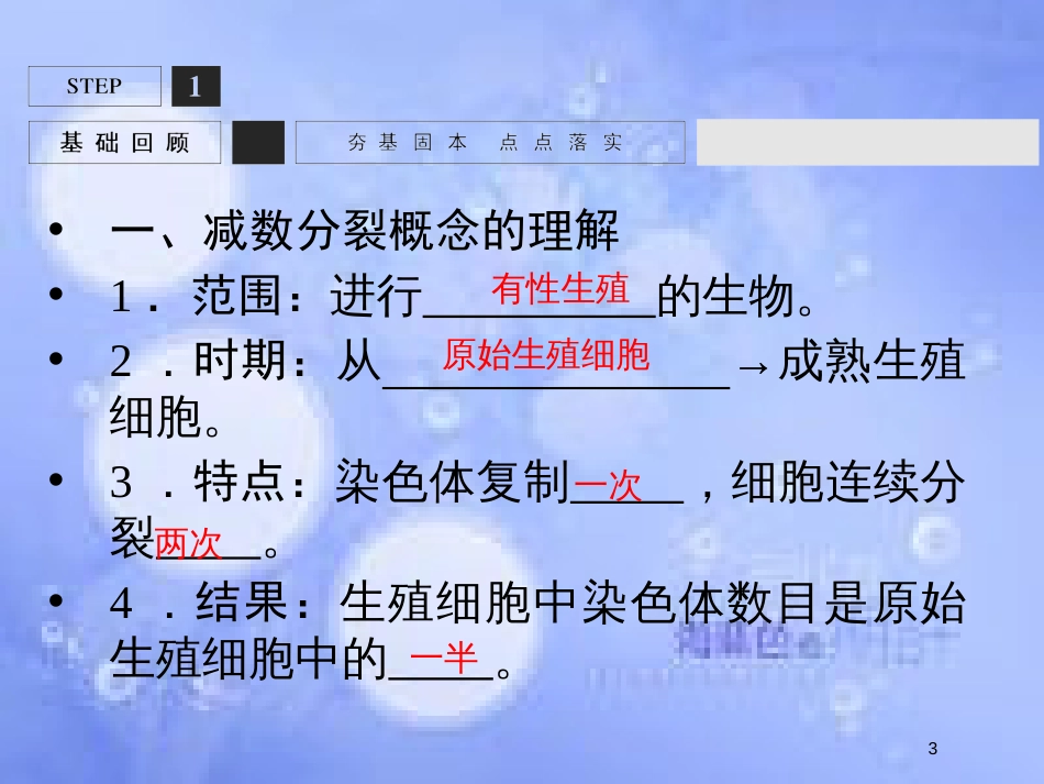高考生物一轮复习 第4单元 细胞的生命历程12课件 苏教版必修1_第3页