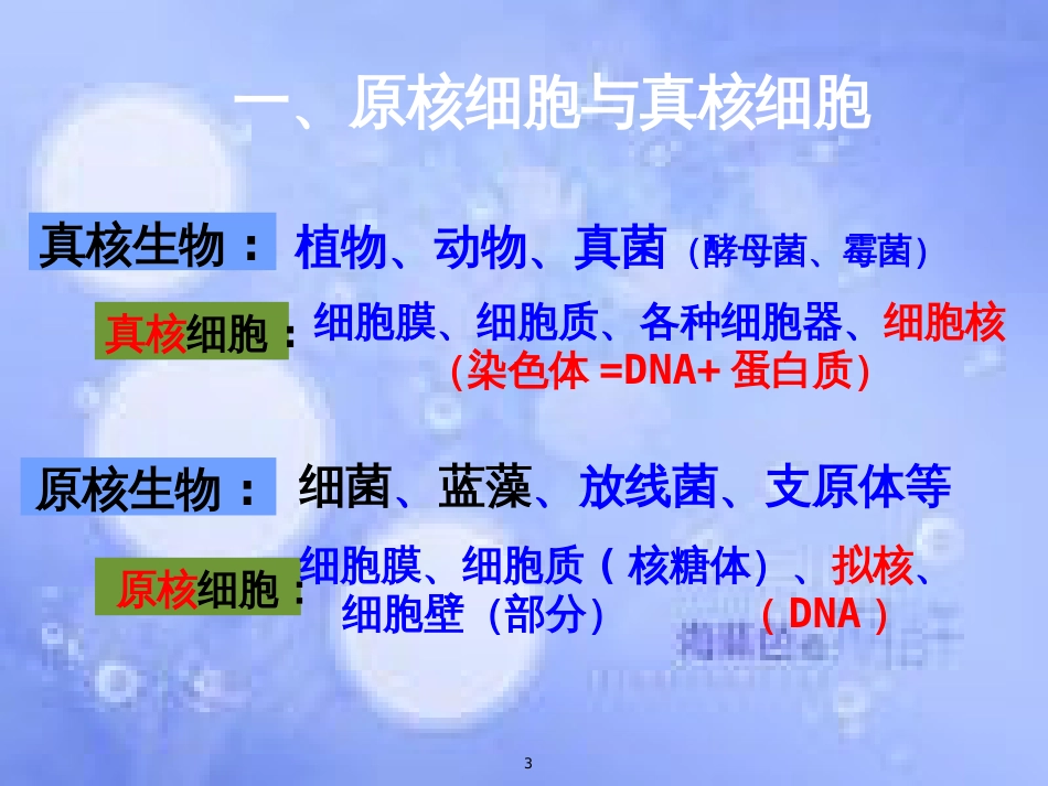福建省寿宁县高中生物 第一章 细胞的多样性和统一性课件 新人教版必修1_第3页
