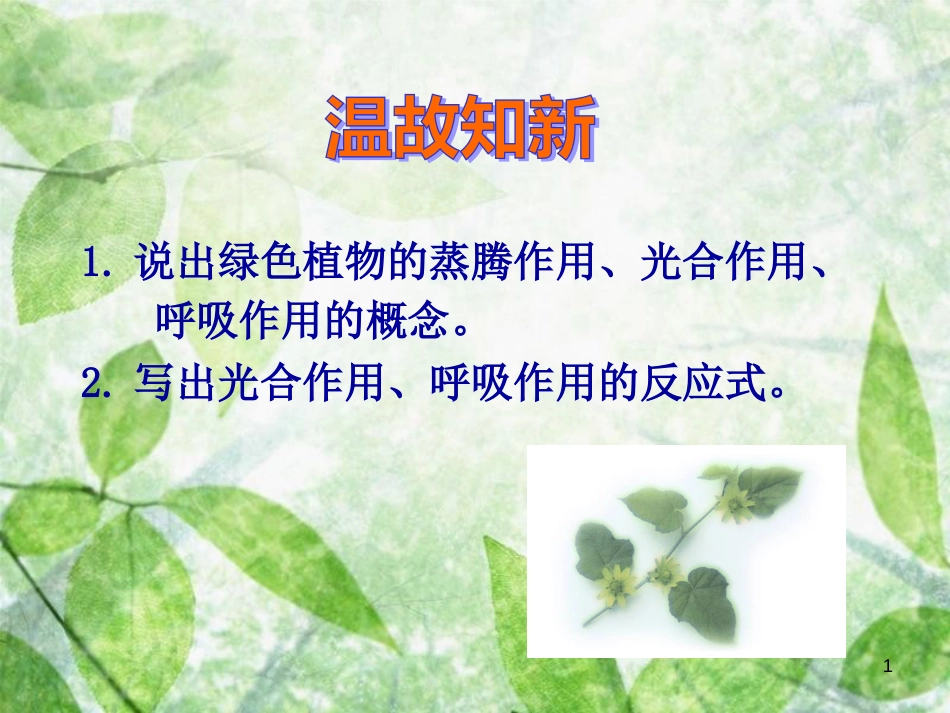 七年级生物上册 2.1.5《绿色植物在生物圈中的作用》优质课件 （新版）济南版_第1页