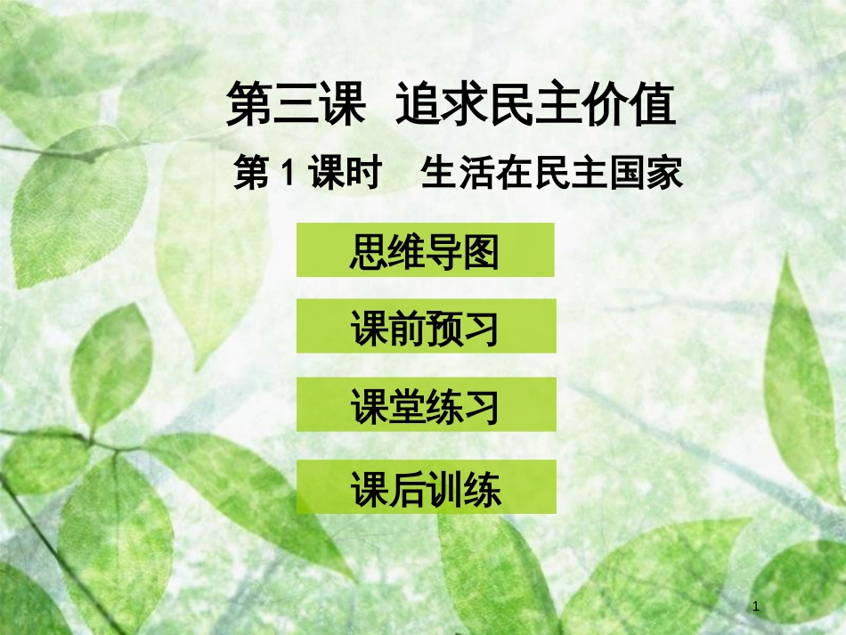 九年级道德与法治上册 第二单元 民主与法治 第三课 追求民主价值 第1框 生活在民主国家优质课件 新人教版 (2)_第1页