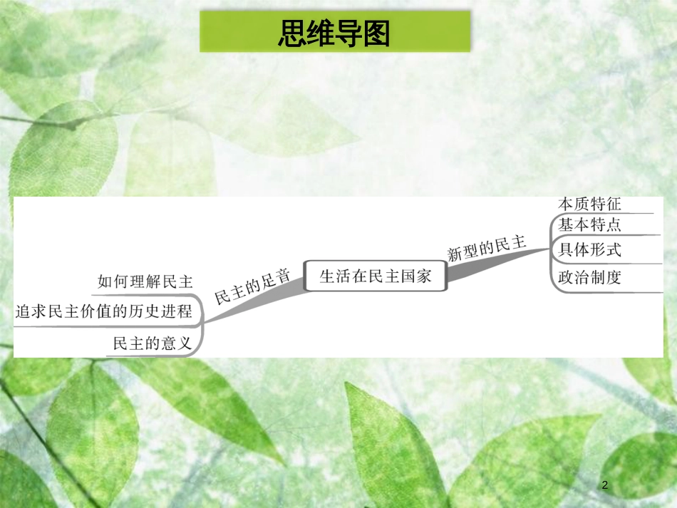 九年级道德与法治上册 第二单元 民主与法治 第三课 追求民主价值 第1框 生活在民主国家优质课件 新人教版 (2)_第2页
