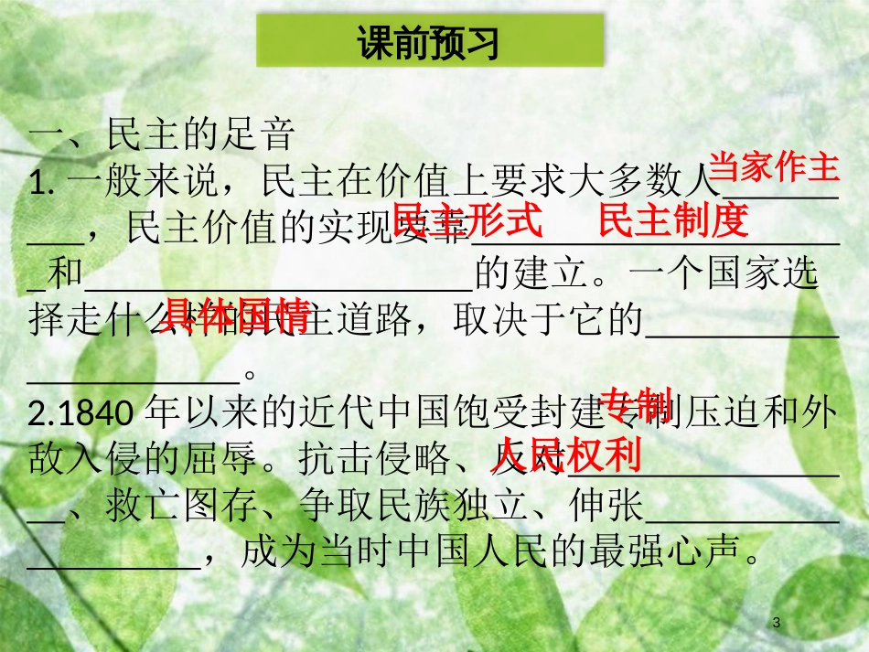 九年级道德与法治上册 第二单元 民主与法治 第三课 追求民主价值 第1框 生活在民主国家优质课件 新人教版 (2)_第3页